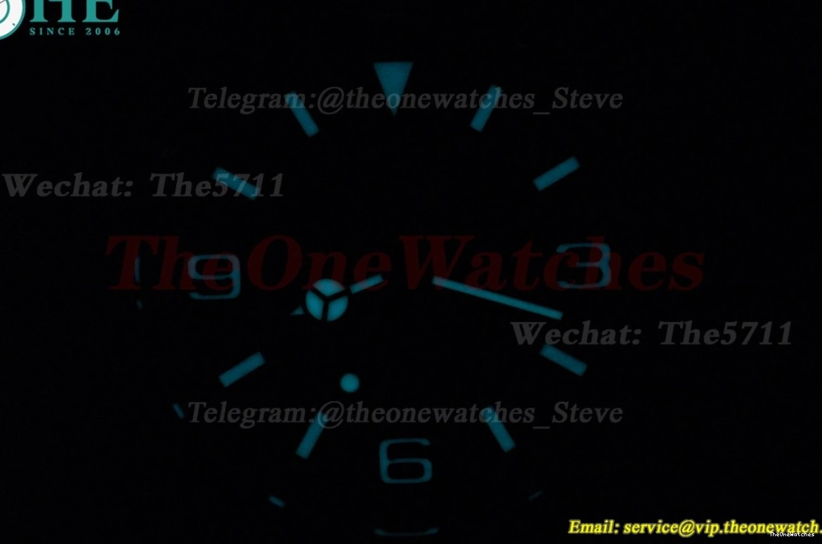 Black Explorer 40mm SS VS3230 224270 SS Dial VSF I 0129